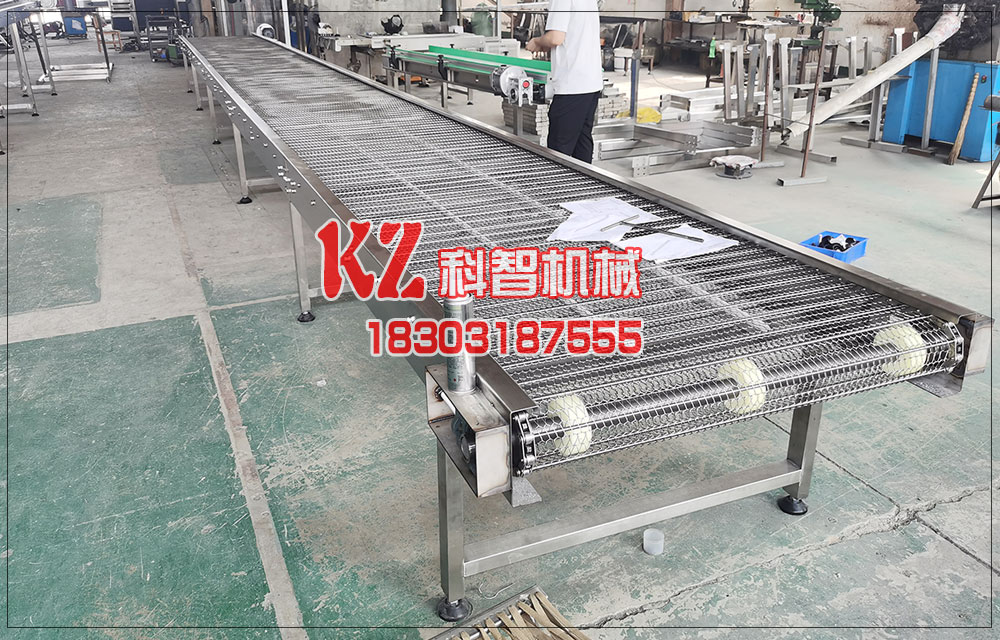 芒果清洗流水線網帶式輸送機